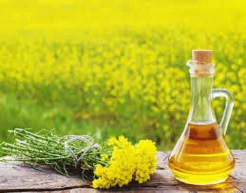Indian Mustard oil Market Share 2022, Size, Price, Top Brands Analysis, Growth, Research Report 2027