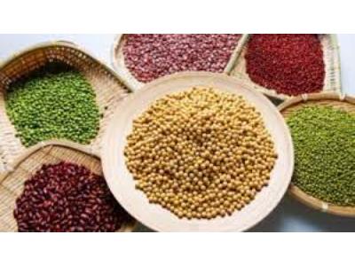 Seed Coating Market