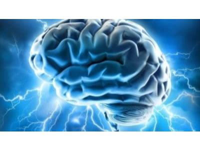 Optogenetics Market