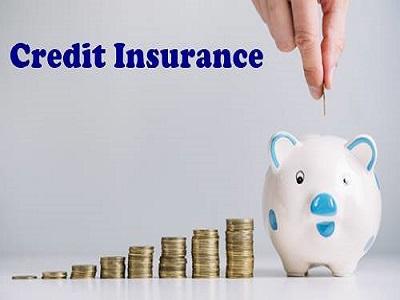 Credit Insurance