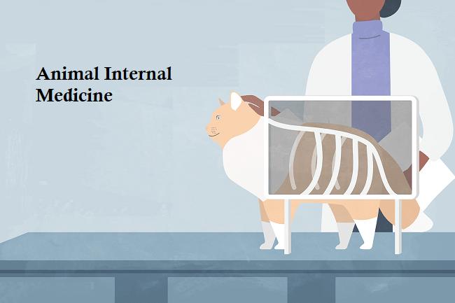 Animal Internal Medicine Market Booming Worldwide with Top Key