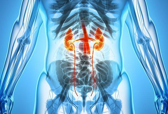 Renal Biomarkers Market