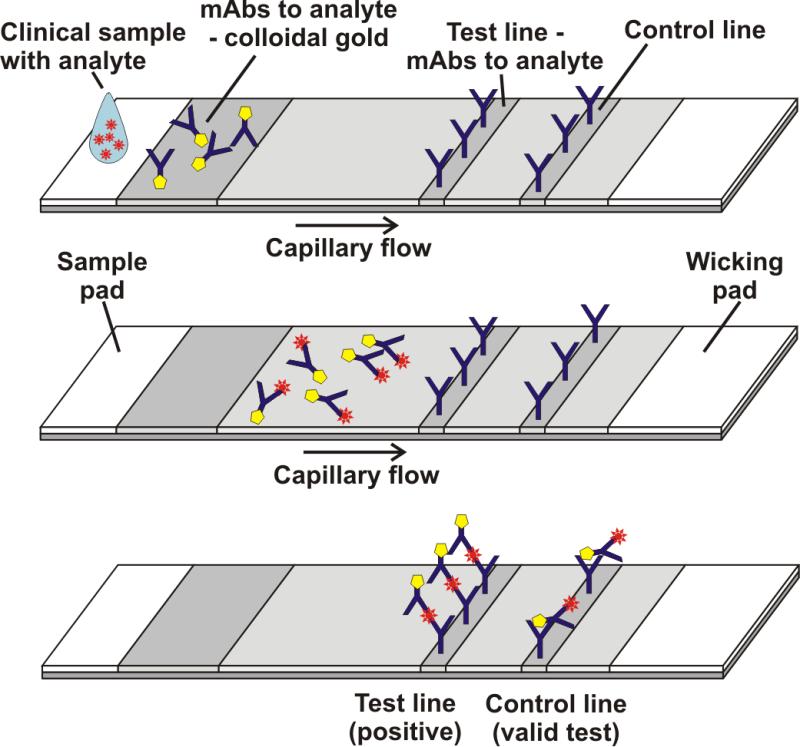 Global Lateral Flow Assay Market