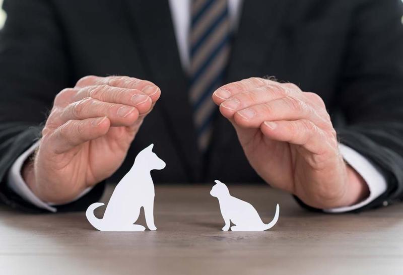 Pet Insurance Market