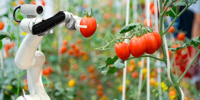 Fruit Picking Robots Market Share 2022, Scope, Emerging Trends,