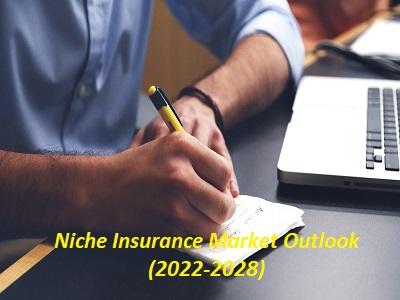 Niche Insurance Market