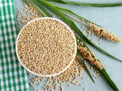 Sorghum By-Products Market 2022 Growth Drivers, Investment