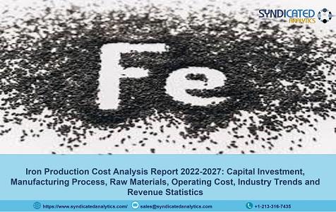 Iron Plant Cost, Price Trend and Production Cost Analysis