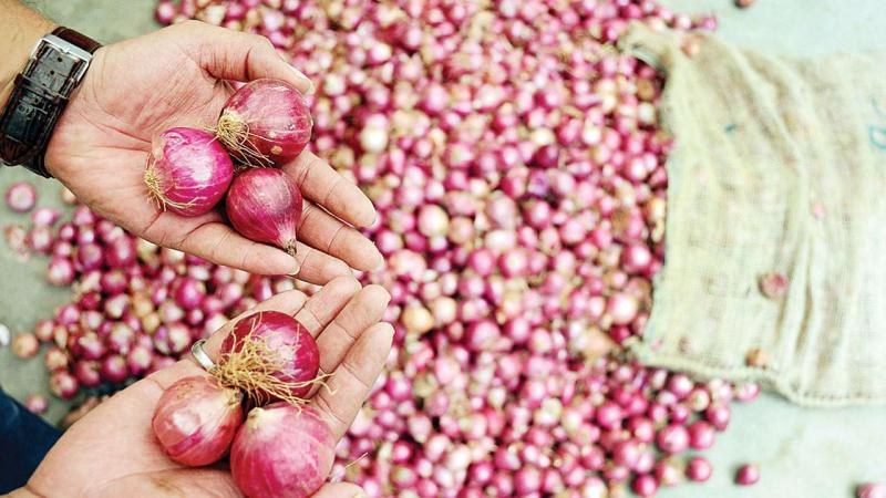 Dehydrated Onions market
