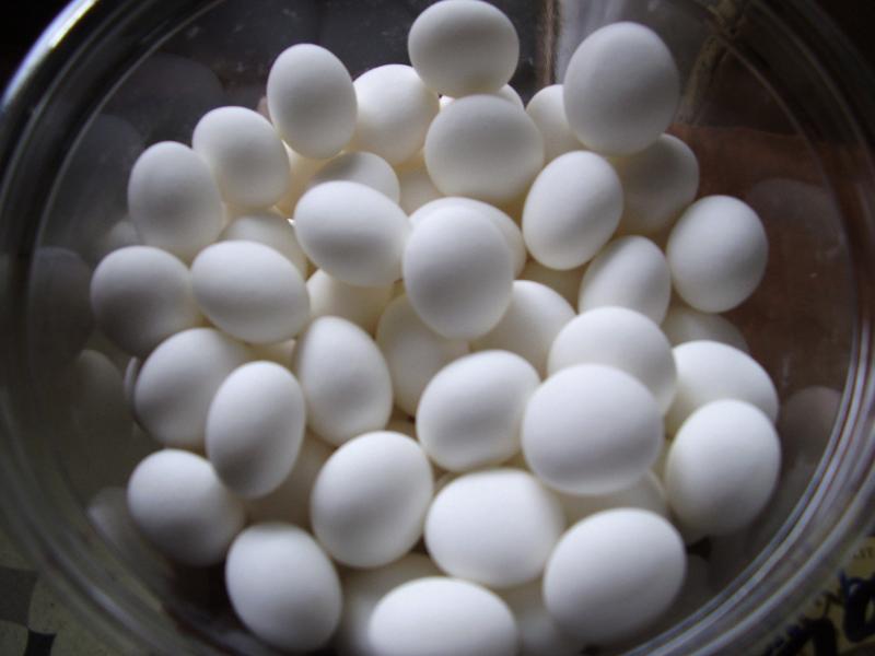 Global Mints Market