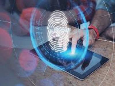 Healthcare Biometrics Market