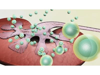 Elispot and Fluorospot Assay Market