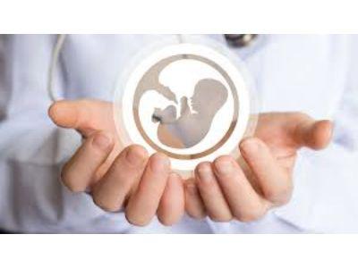 Vitro Fertilization Market