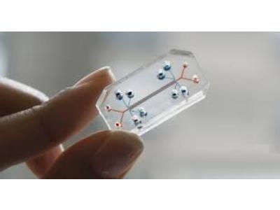 Organs on Chips Market