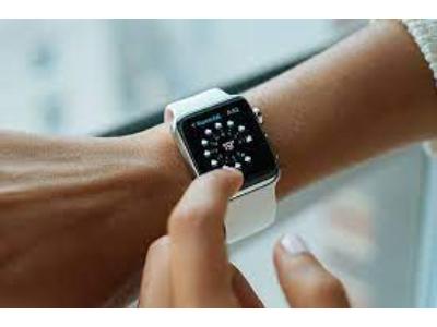 Wrist Wearable Market