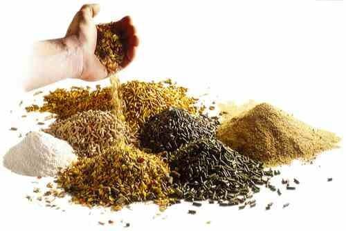 Feed Premix Market Anticipated To Grow at 3.7% CAGR And Surpass