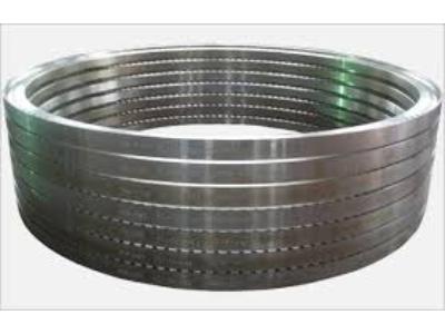 Wind Power Flange Market