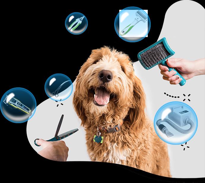 Pet Grooming Market Better Accuracy and Short Duration