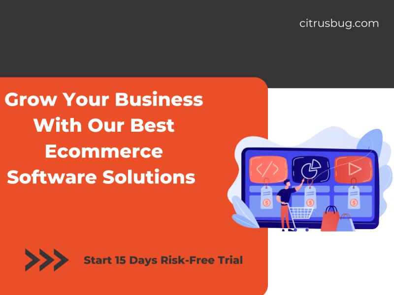 Citrusbug Technolabs Offering Powerful Custom Web Based Solution To Start-ups