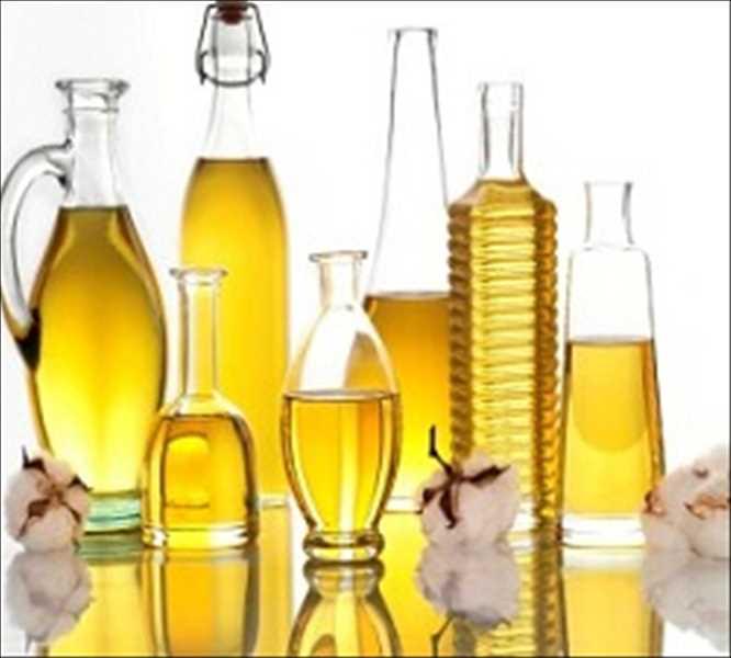 Global Massage Oil Market