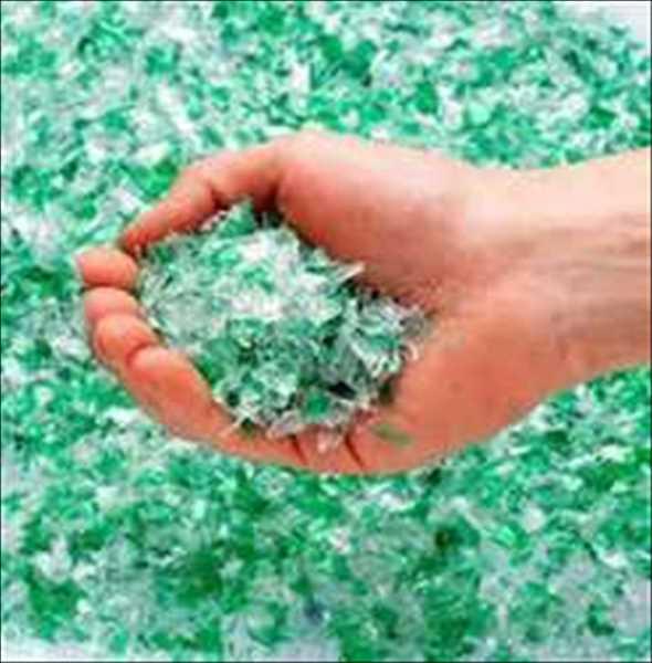 Global Recycled Polyethylene Terephthalate Market Size