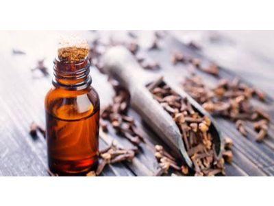 Cinnamon Bark Oil Market 2022 Growth Drivers, Investment