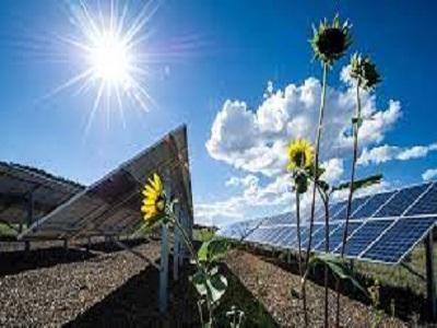 Photovoltaic Solar Panel Market