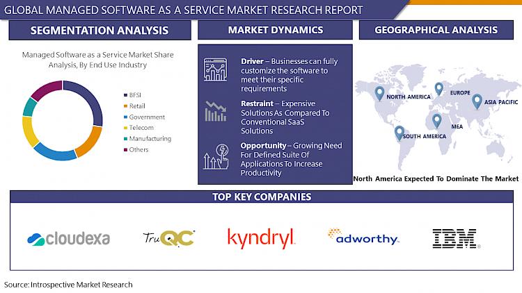 Managed Software-as-a-Service Market Research Depth Study