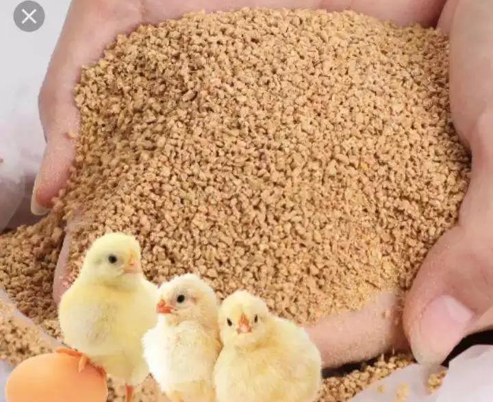 Poultry Feed Premix