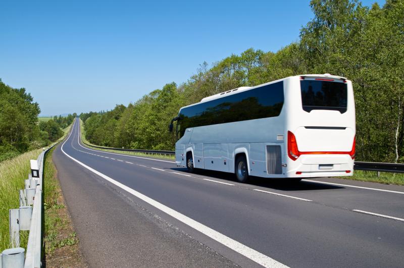 Global Long Distance Coach Buses Market