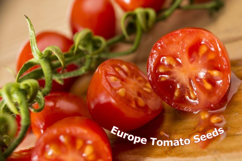 European Tomato Press