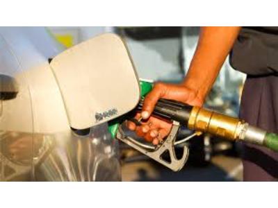 Automotive Flex Fuel Engine Market