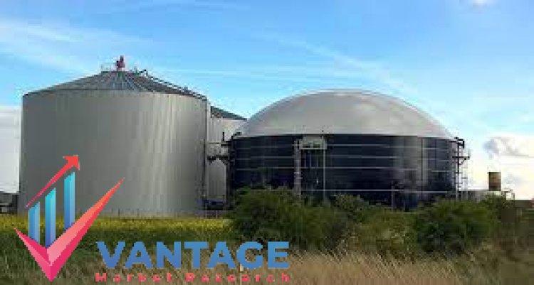 Biogas Market