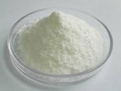 Calcium Propionate Market