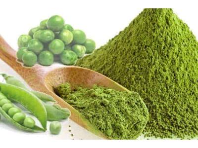 Growth: Organic Pea Protein Market Size & Share to Hit $40.17