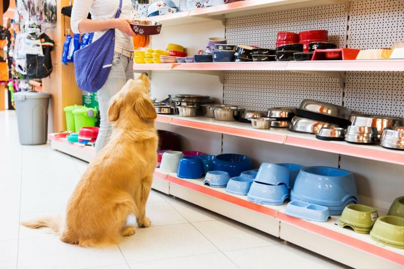 Exponential Growth Expected for Pet Supply Store Market With