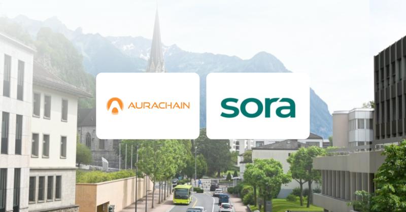 Sora Bank AG in Liechtenstein used the Aurachain low-code platform to build an end-to-end loan processing solution in just two mon
