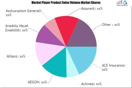 One-year Accident Insurance Market