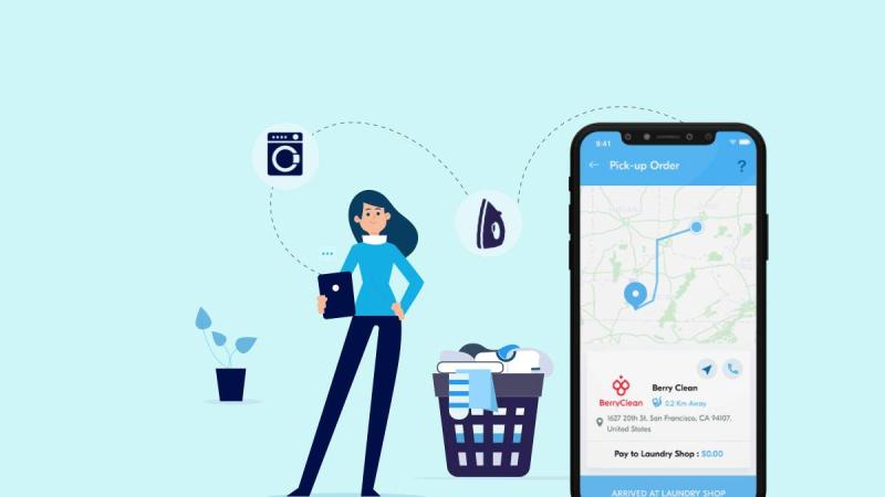 Global Online On-demand Laundry Service Market