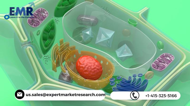 Global Nanocellulose Market Is Expected To Grow Steadily At CAGR