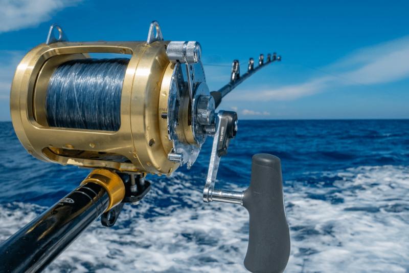 Fishing Reels Market 2022 Industry Manufacturing Business