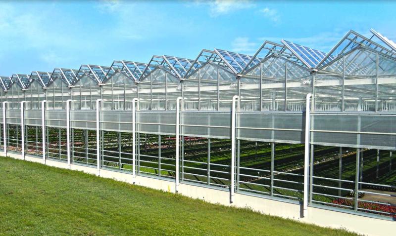 Commercial Greenhouse Market