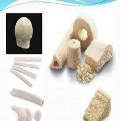 Global Bone Grafts and Substitutes Market