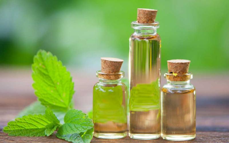 Aromatherapy Consumables Market