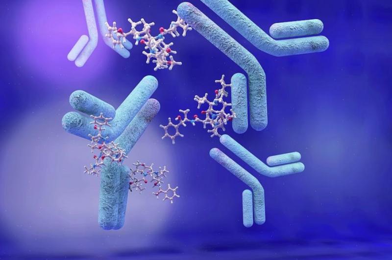 The Future of Next Generation Antibody Therapeutics Market Industry: Forecast and Analysis-Next Generation Antibody Therapeutics Market- F. Hoffmann-La Roche Ltd., Kyowa Hakko Kirin Co., Ltd., Seattle Genetics
