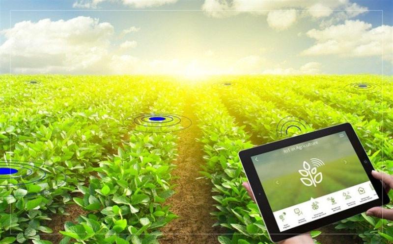 Precision Farming Market Introducing New Industry Dynamics