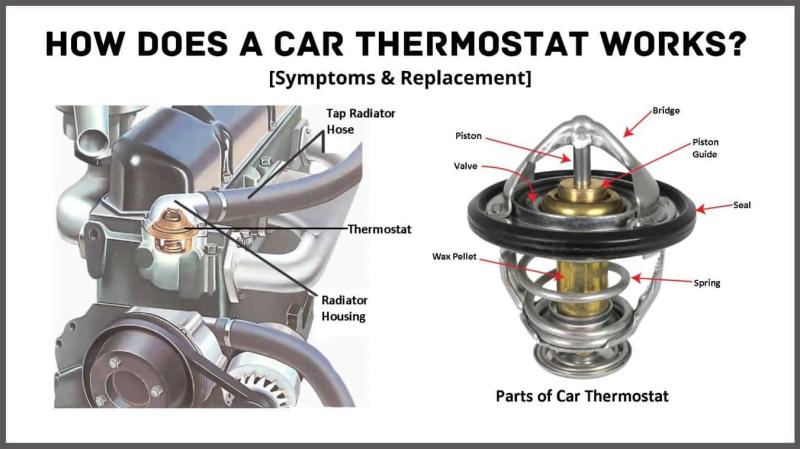 Automotive Thermostat Market