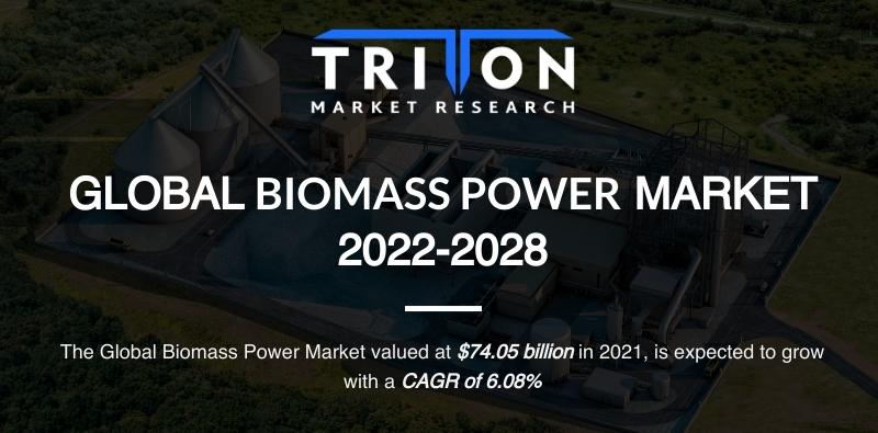 Biomass Power Market