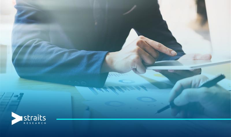 Europe Dead Burned Magnesia Market