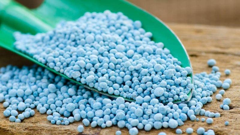 Water Soluble NPK Fertilizers Market Analysis